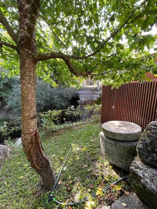 Casa Da Tintim Em Baiao 빌라 외부 사진